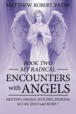 9780692681251 My Radical Encounters With Angels