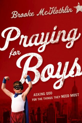 9780764211430 Praying For Boys (Reprinted)