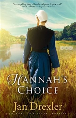 9780800726560 Hannahs Choice : A Novel (Reprinted)
