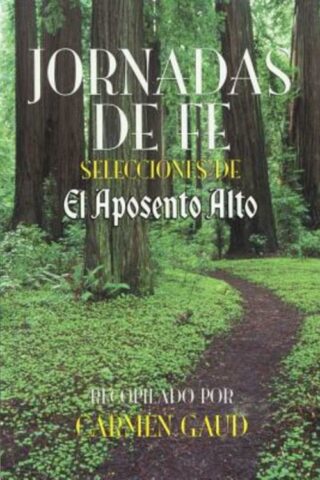 9780835809221 Jornadas De Fe (Large Type) - (Spanish) (Large Type)