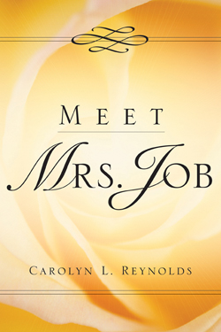 9781594671395 Meet Mrs Job