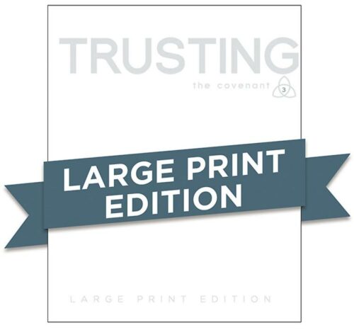 9781630886271 Trusting Participant Guide (Large Type)