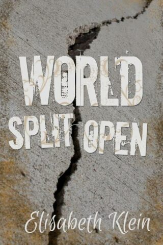 9781632326614 World Split Open