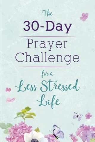 9781643528328 30 Day Prayer Challenge For A Less Stressed Life