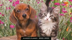 9781644549582 Whiskers And Paws 2022 2023 28 Month Planner