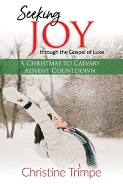 9781646454334 Seeking Joy Through The Gospel Of Luke
