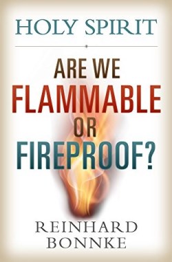 9781933446523 Holy Spirit Are We Flammable Or Fireproof