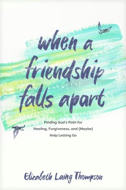 9781496463128 When A Friendship Falls Apart