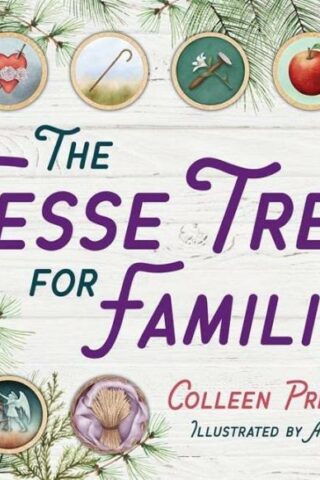 9781681929446 Jesse Tree For Families