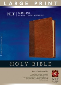 9781414338514 Slimline Center Column Reference Bible Large Print