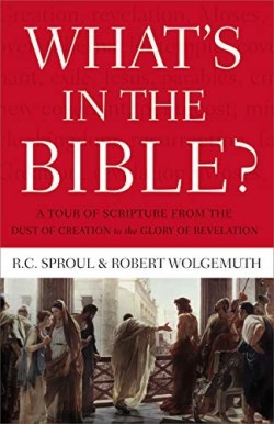 9781418545987 Whats In The Bible A Tour Of Scripture From The Dust Of Creation To The Glo
