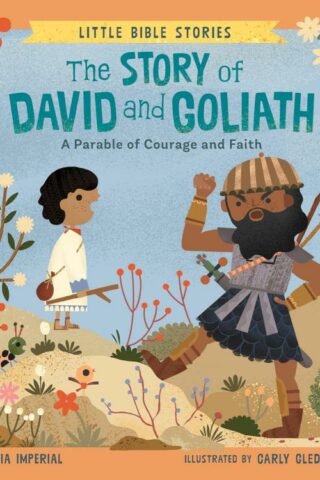 9780593523346 Story Of David And Goliath