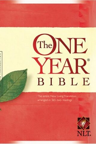 9781414302058 1 Year Bible