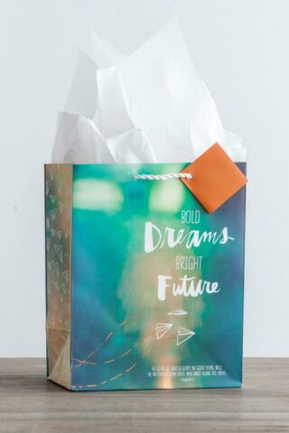 081983582172 Bold Dreams Specialty Gift Bag