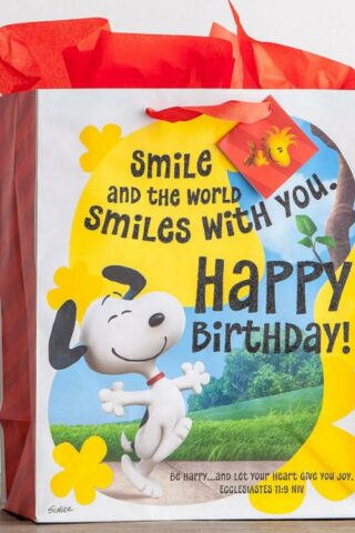 081983608773 Peanuts Birthday Specialty Gift Bag