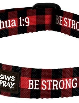 612978546062 Paws And Pray Strong And Courageous Pet Collar SM-MD