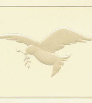 9780805458565 In Honor Dove Gift Acknowledgement Cards