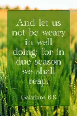 9781087765327 And Let Us Not Be Weary We Shall Reap Galatians 6:9 KJV Pack Of 100