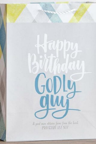 081983608803 Godly Guy Birthday Value Gift Bag