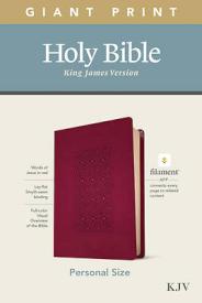 9781496447661 Personal Size Giant Print Bible Filament Enabled Edition